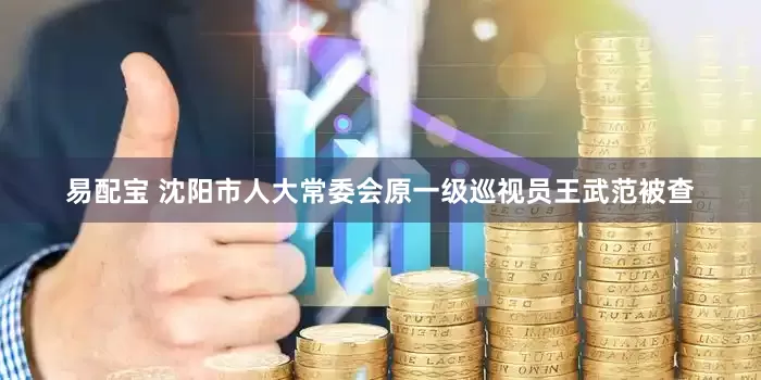 易配宝 沈阳市人大常委会原一级巡视员王武范被查