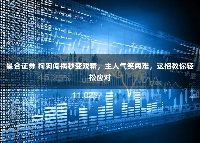 星合证券 狗狗闯祸秒变戏精，主人气笑两难，这招教你轻松应对