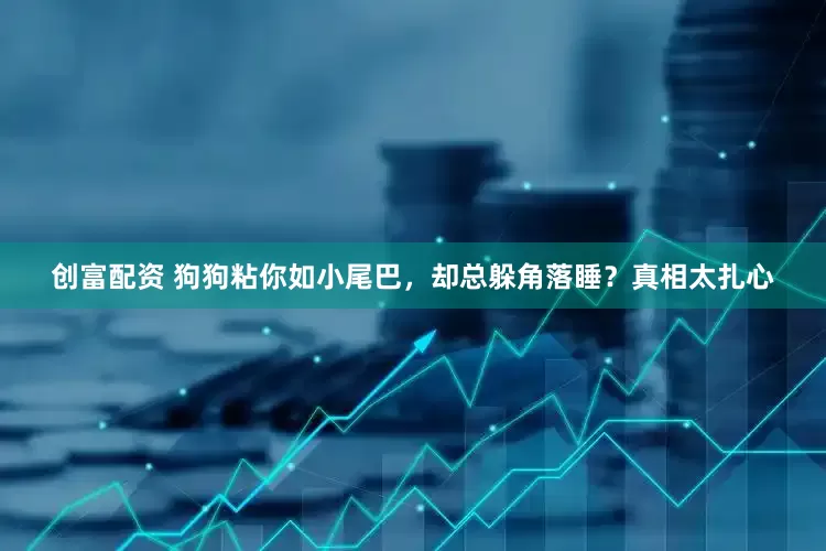 创富配资 狗狗粘你如小尾巴，却总躲角落睡？真相太扎心