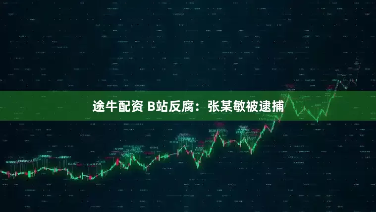 途牛配资 B站反腐：张某敏被逮捕