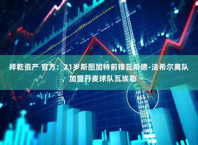 祥乾资产 官方：21岁斯图加特前锋瓦希德-法希尔离队，加盟丹麦球队瓦埃勒