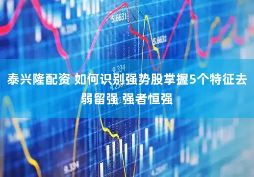 泰兴隆配资 如何识别强势股掌握5个特征去弱留强 强者恒强