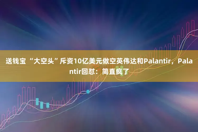 送钱宝 “大空头”斥资10亿美元做空英伟达和Palantir，Palantir回怼：简直疯了