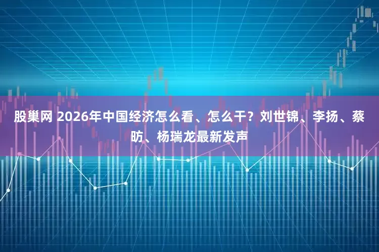 股巢网 2026年中国经济怎么看、怎么干?刘世锦、李扬、蔡昉、杨瑞龙最新发声
